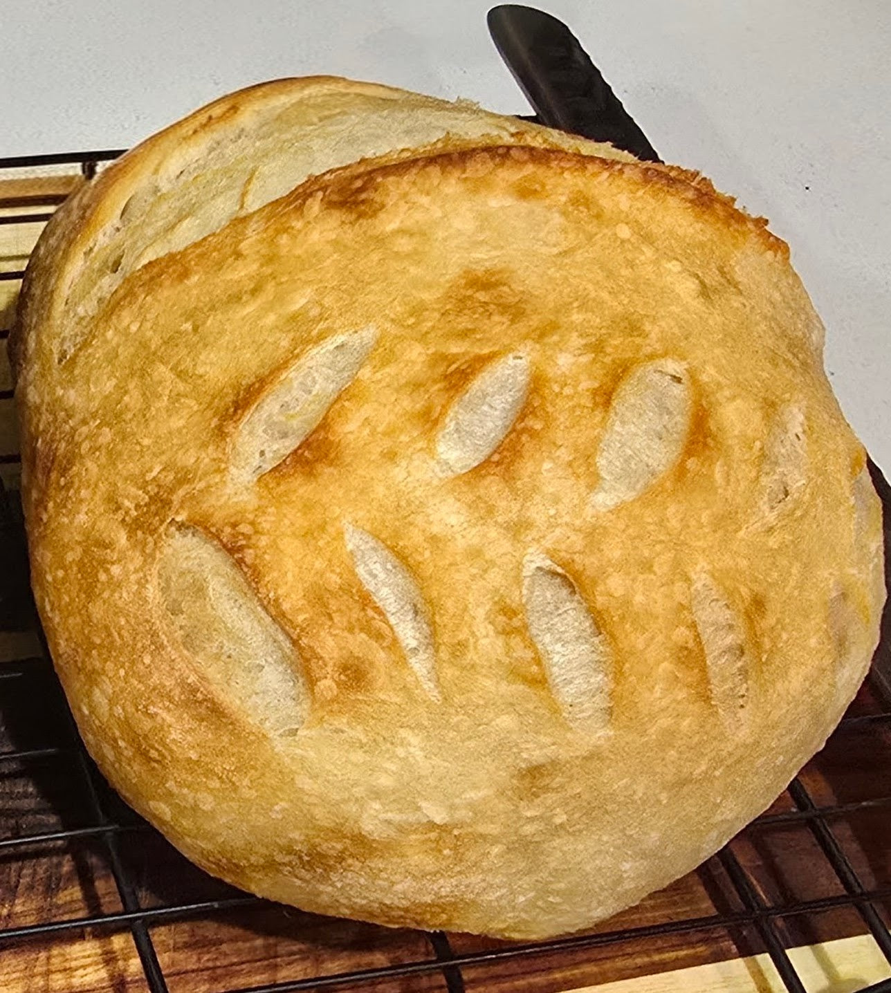 Plain Sourdough Loaf - Round